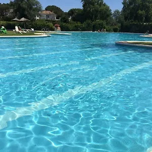 https://sunny-garden-apartment.es-andalucia.com
